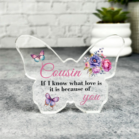 Gift For Cousin Pink Floral Butterflies Butterfly Plaque Keepsake Gift