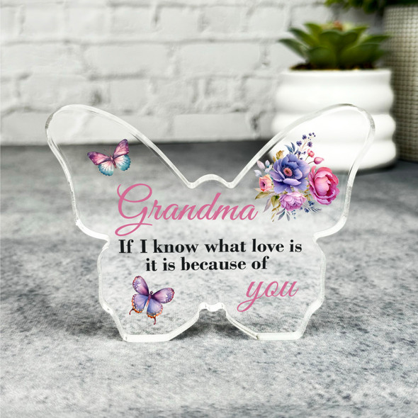 Gift For Grandma Pink Floral Butterflies Butterfly Plaque Keepsake Gift