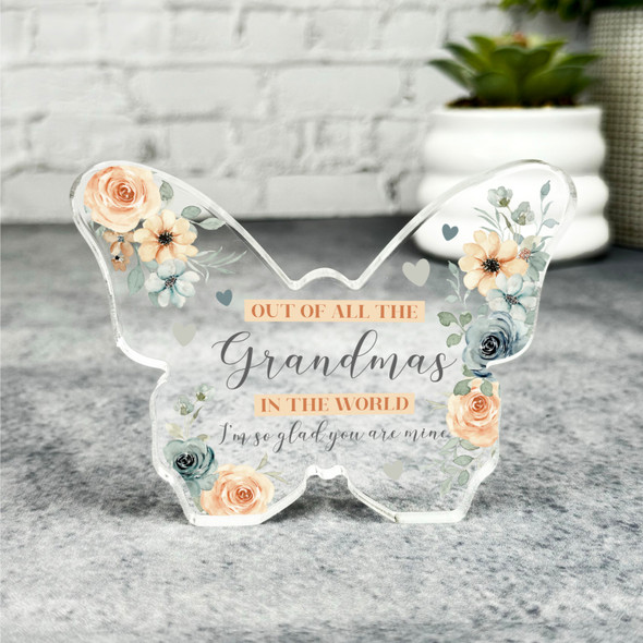 Glad You Are My Grandma Peach Blue Flowers Butterfly Plaque Keepsake Gift