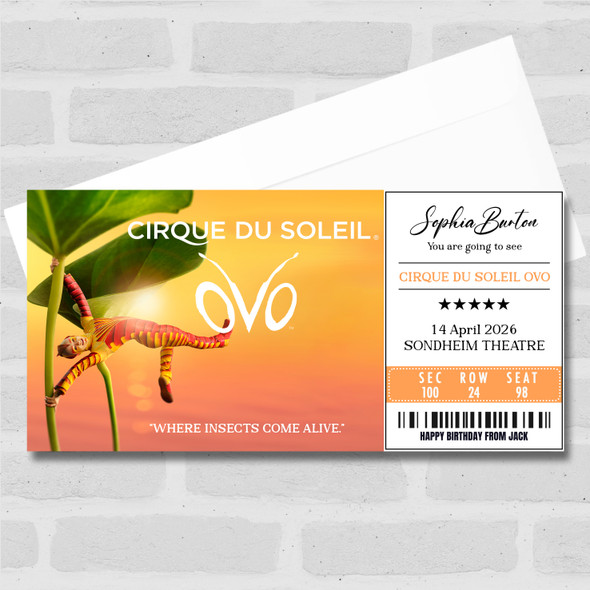 Cirque Du Soleil Ovo Personalised Gift Voucher Surprise Theatre Ticket