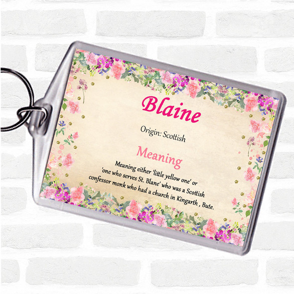 Blaine Name Meaning Bag Tag Keychain Keyring  Floral