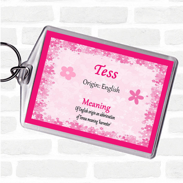 Tess Name Meaning Bag Tag Keychain Keyring  Pink