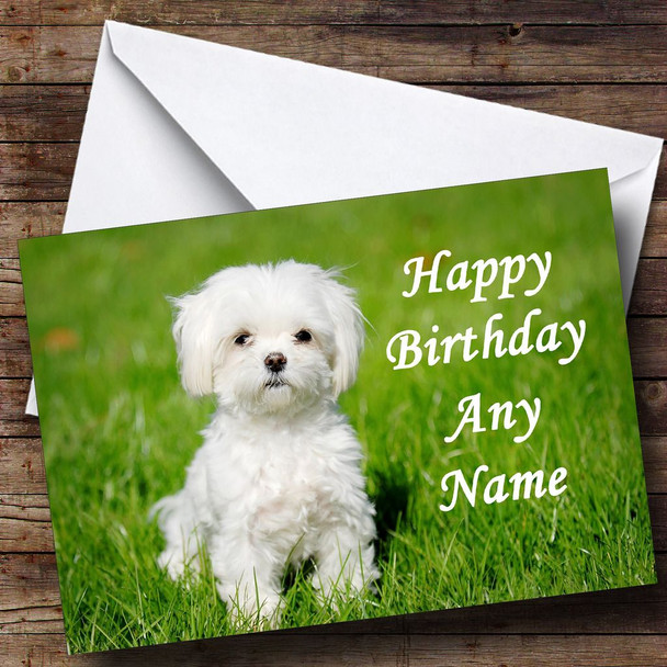 Maltese Terrier Dog Personalised Birthday Card