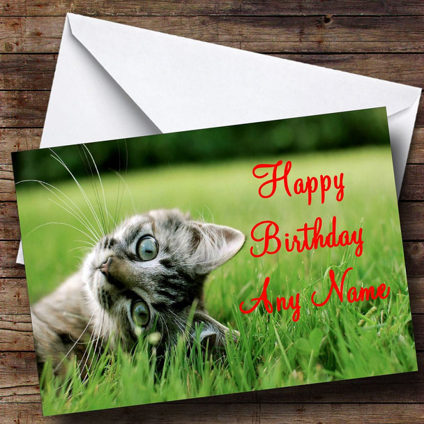 Playful Kitten Personalised Birthday Card