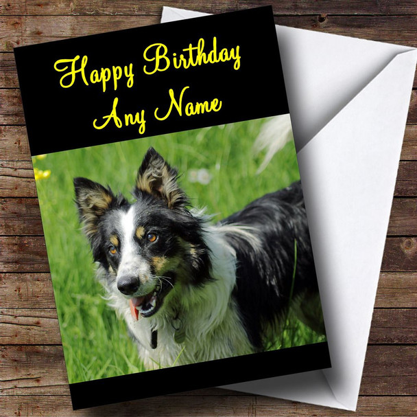 Welsh Sheepdog Personalised Birthday Card