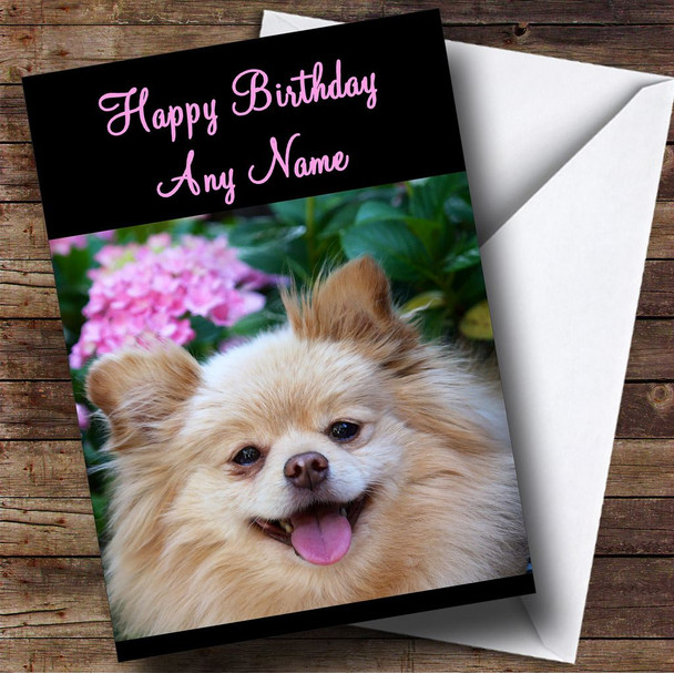 Pomeranian Dog Personalised Birthday Card