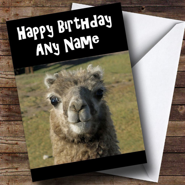 Llama Personalised Birthday Card