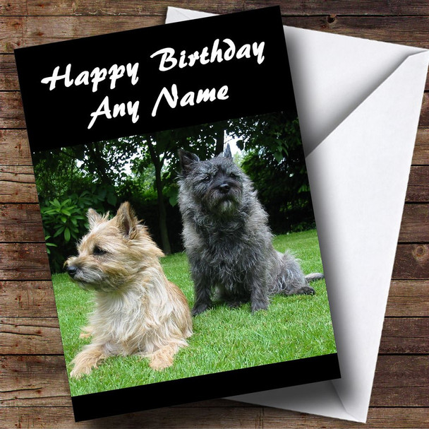 Cairn Terrier Dog Personalised Birthday Card