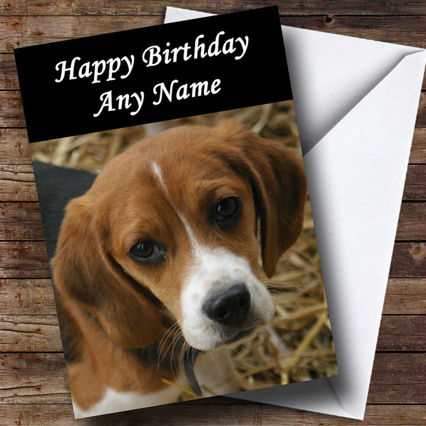 Beagle Dog Personalised Birthday Card