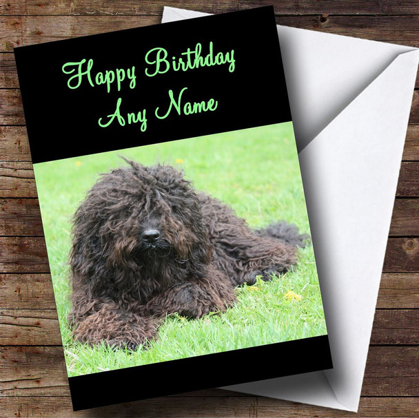 Barbet Dog Personalised Birthday Card