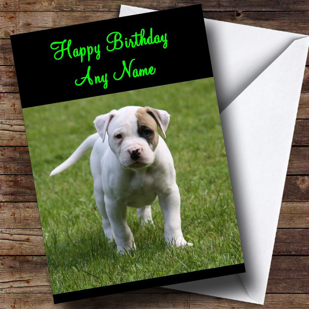 American Bulldog Puppy Dog Personalised Birthday Card