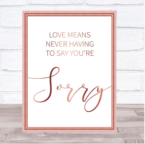 Rose Gold Love Means Never Having To Say Sorry Love Story Film Quote Print