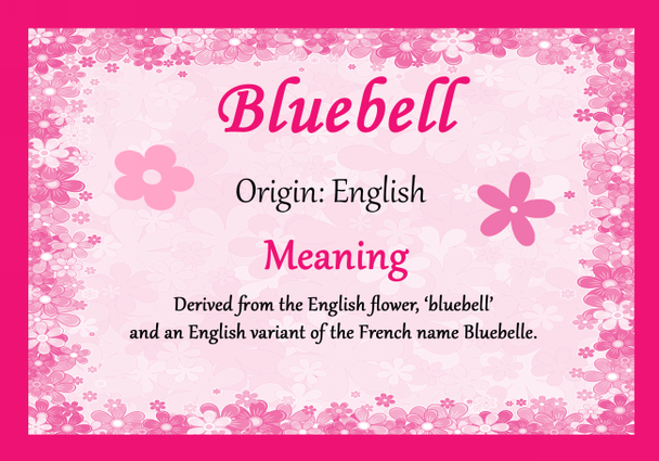 Bluebell Personalised Name Meaning Certificate