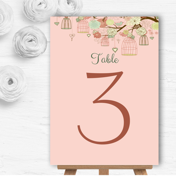 Vintage Shabby Chic Birdcage Coral Personalised Wedding Table Number Name Cards
