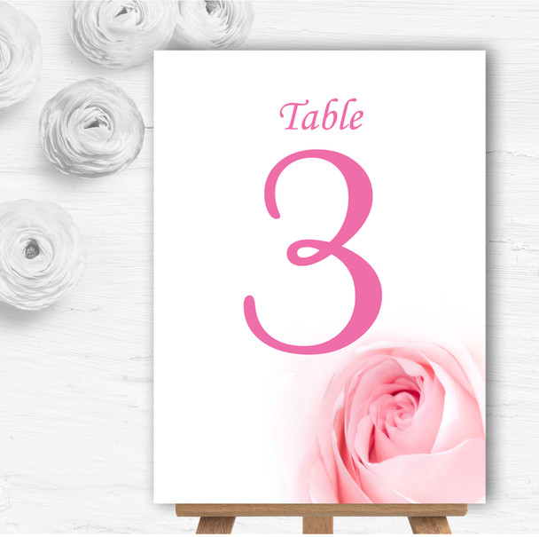 Stunning Pale Baby Pink Rose Personalised Wedding Table Number Name Cards