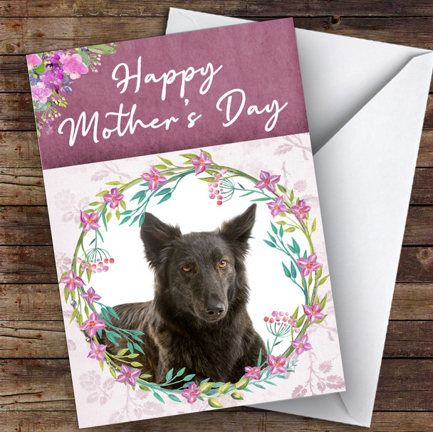 Dutch Shepherd Dog Traditional Animal Personalised Mother's Day Card