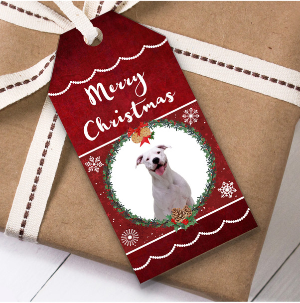 Dogo Argentino Dog Christmas Gift Tags