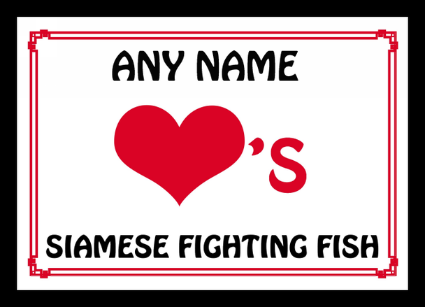 Love Heart Siamese Fighting Fish Personalised Placemat