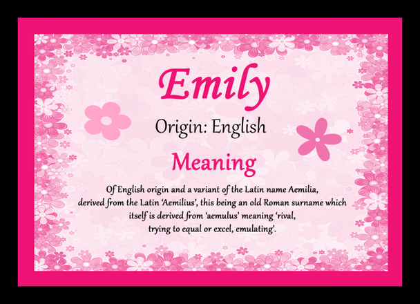 Emily Personalised Name Meaning Placemat