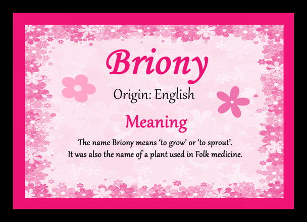 Briony Personalised Name Meaning Placemat