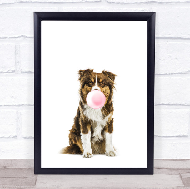 Dog Australian Shepherd Bubblegum Wall Art Print
