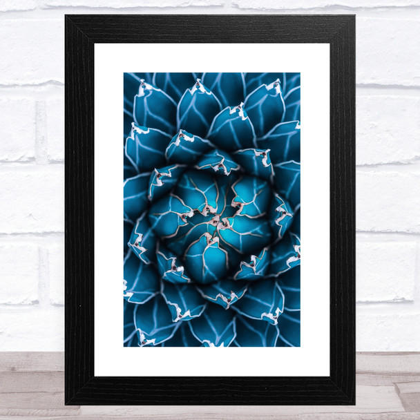 Agave Cactus Abstract Natural Blue Wall Art Print