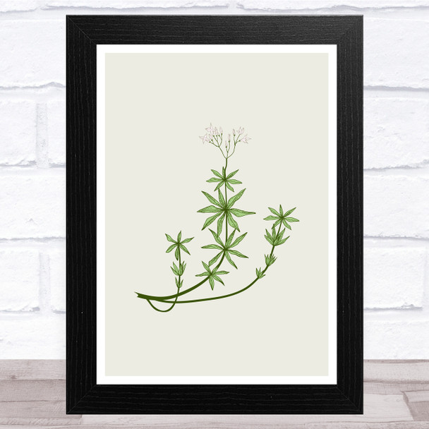 Herbs And Wild Flowers Design 12 Wall Art Print