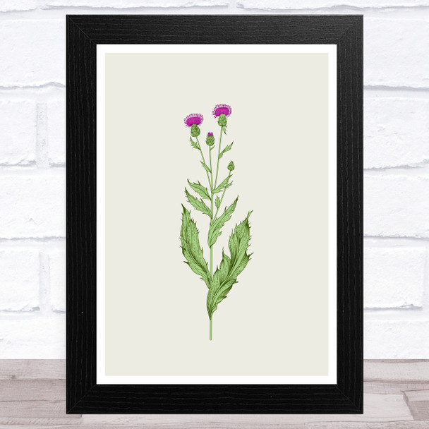 Herbs And Wild Flowers Design 1 Wall Art Print