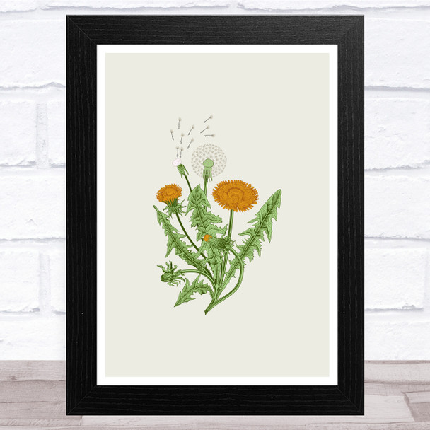 Herbs And Wild Flowers Design 8 Wall Art Print