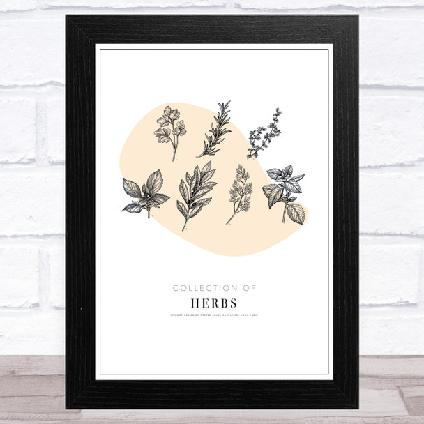 Collection Of Herbs Vintage Wall Art Print