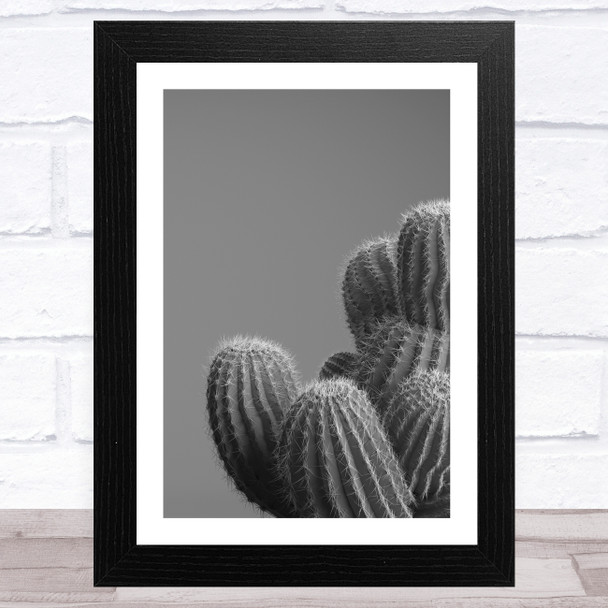 Shades Of Grey Cactus Wall Art Print