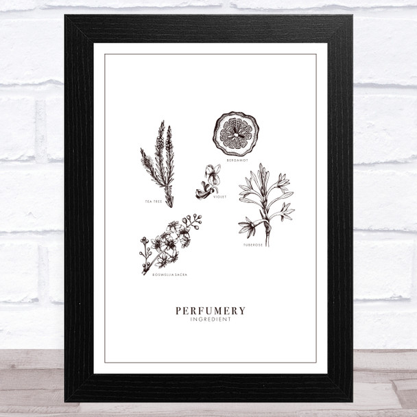 Vintage Hand Drawn Perfumery Design 2 Home Wall Art Print