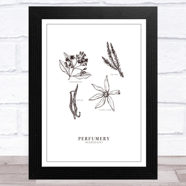 Vintage Hand Drawn Perfumery Design 6 Home Wall Art Print