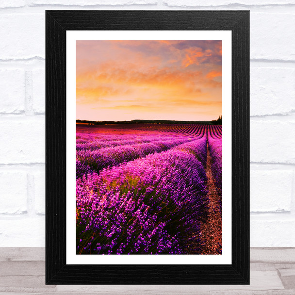 Lavender Fields Collection Design 1 Home Wall Art Print