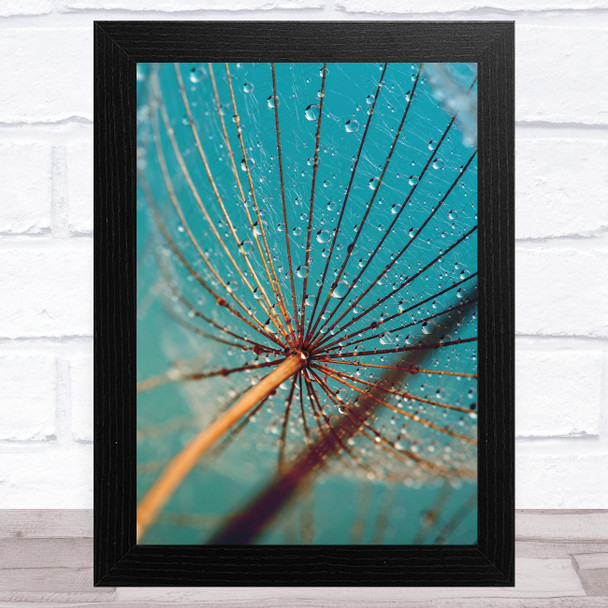 Dandelion Wish With Water Design 3 Home Wall Art Print