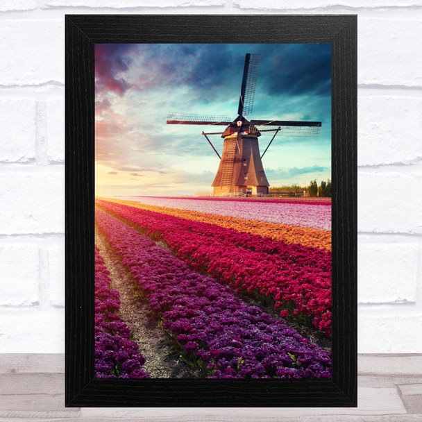 Windmill And Tulips Field Home Wall Art Print