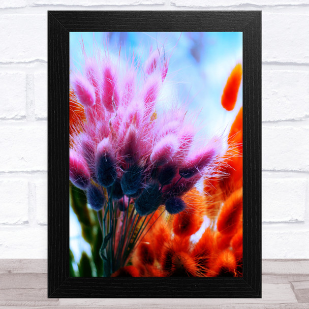 Dried Colourful Flowers Home Wall Art Print