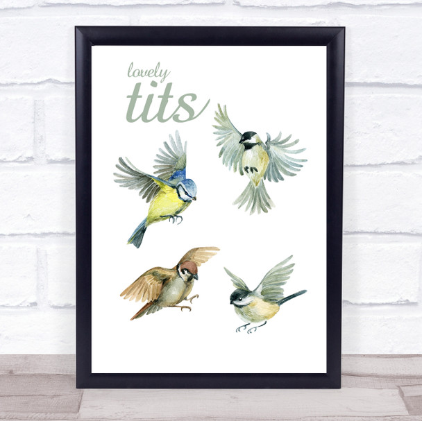 Funny Painted Birds Lovely Tits Wall Art Print