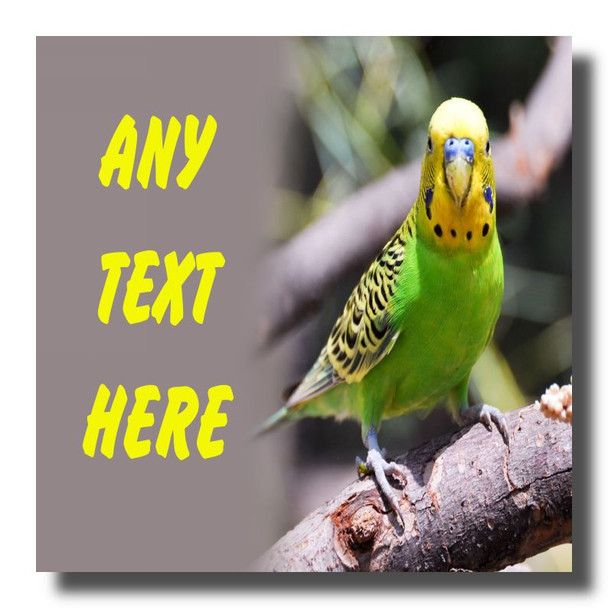 Parakeet Personalised Drinks Mat Coaster