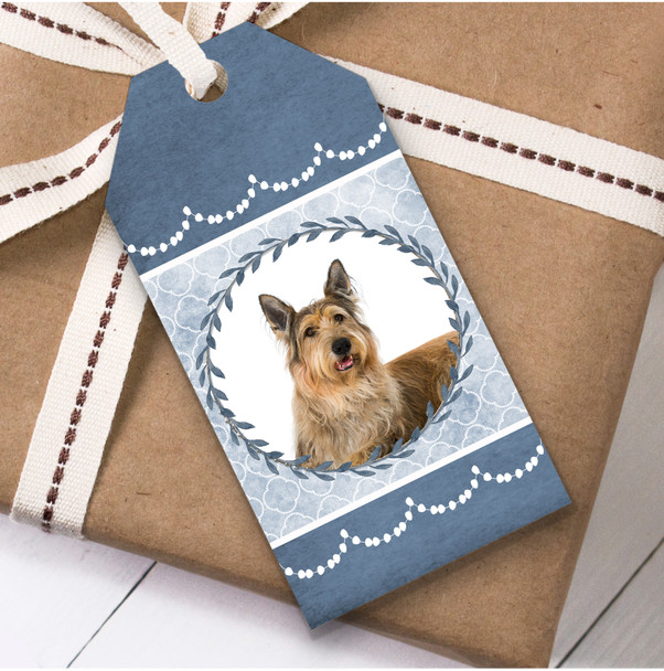 Berger De Picardie Dog Blue Birthday Present Favor Gift Tags