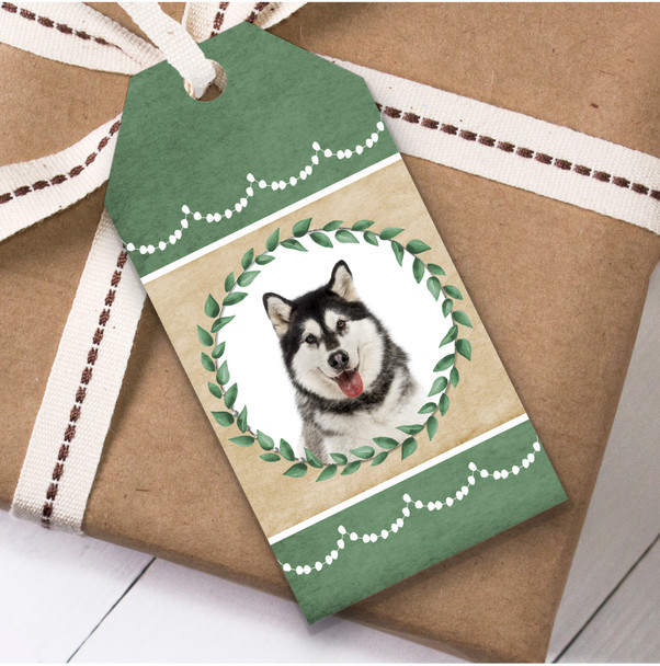 Alaskan Malamute Dog Green Birthday Present Favor Gift Tags