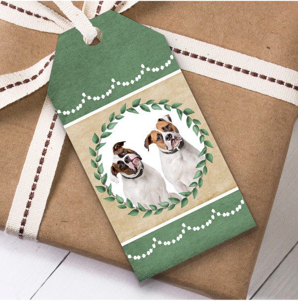 American Bulldog Dog Green Birthday Present Favor Gift Tags