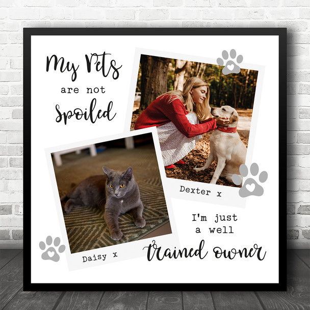My Pets Quote Paw Print Photos Collage Animals Dog Cat Square Gift Print