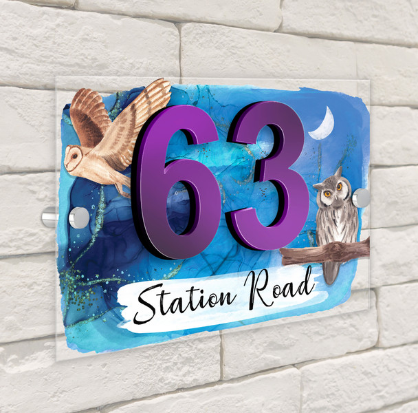 Owl Night Blue Moon 3D Modern Acrylic Door Number House Sign