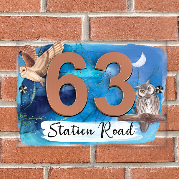 Owl Night Blue Moon 3D Modern Acrylic Door Number House Sign