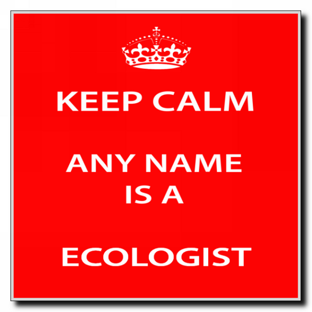 Ecologist Personalised Keep Calm Coaster