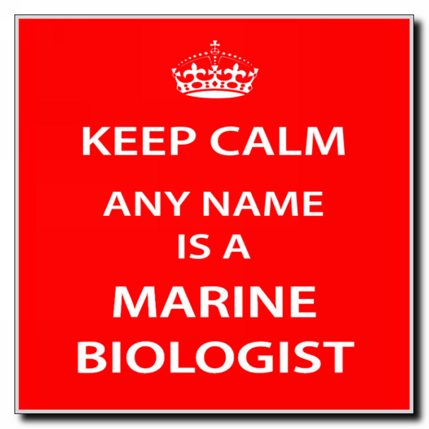 Marine Biologist Personalised Keep Calm Coaster