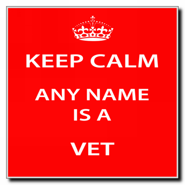 Vet Personalised Keep Calm Coaster