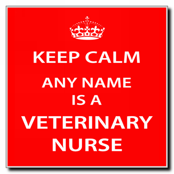 Veterinary Nurse Personalised Keep Calm Coaster