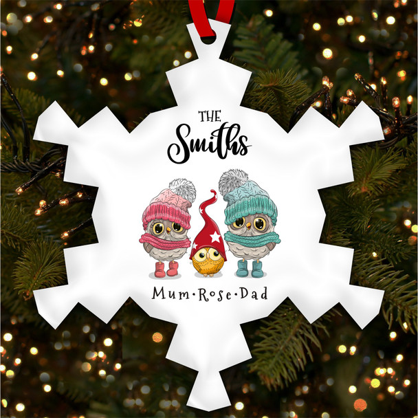 Family Name Owls Family Personalised Christmas Tree Ornament Decoration